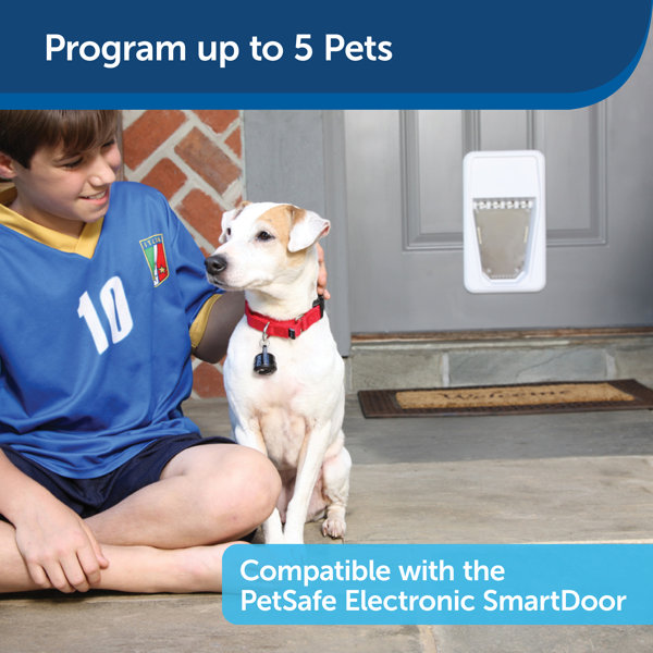 PetSafe® SmartDoor Electronic SmartKey & Reviews Wayfair